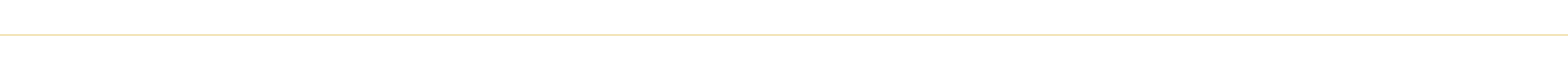 separador_horizontal_champagne_claro_2px_transparente.png